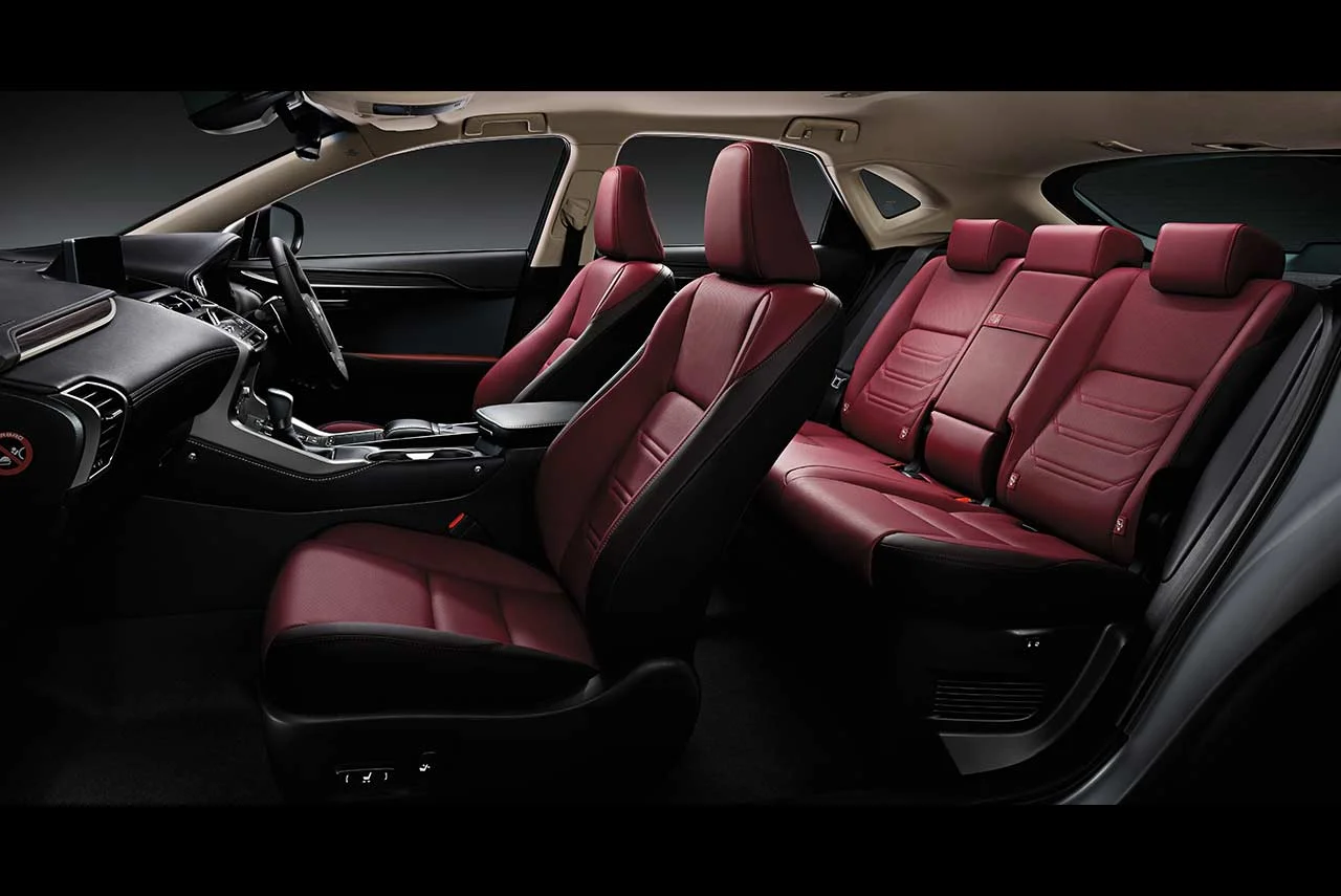 Lexus NX300h 2018 DK Rose interio