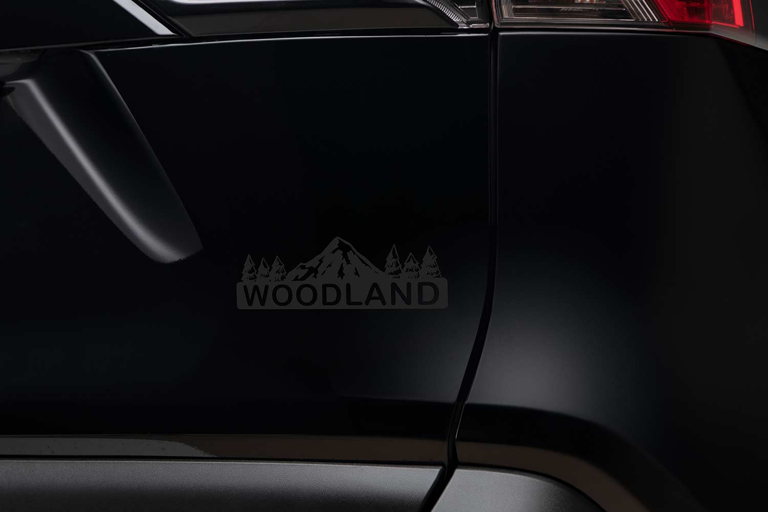 2022 Toyota RAV4 Hybrid Woodland Edition Graphics