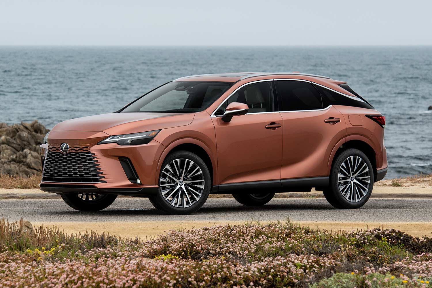2023 Lexus RX 350 AWD Luxury Front Quarter View