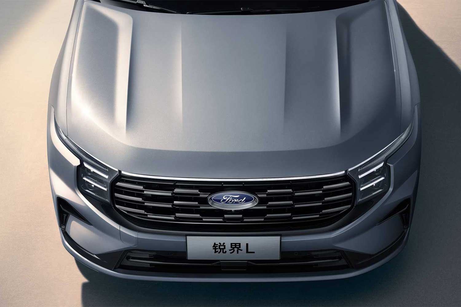 2024 Ford Edge L Grill