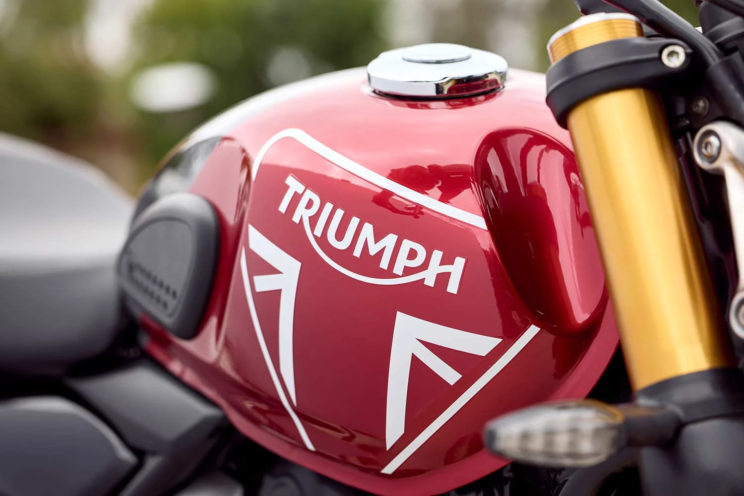 2024 Triumph Speed 400 Tank