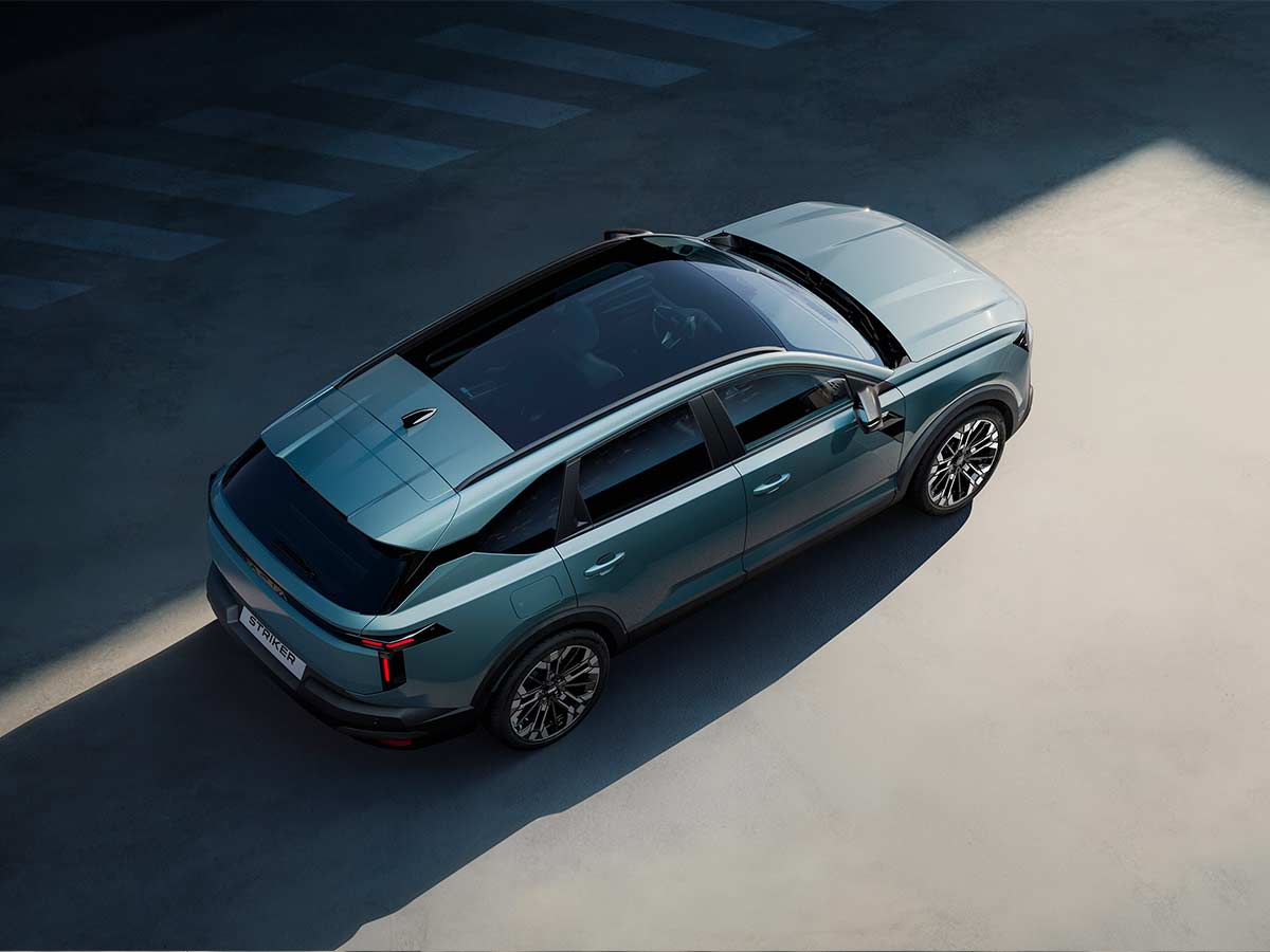 Dacia Striker Top View